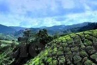 足球 单场 比分直播-足球单场比分直播，一场数字与激情的狂欢盛宴